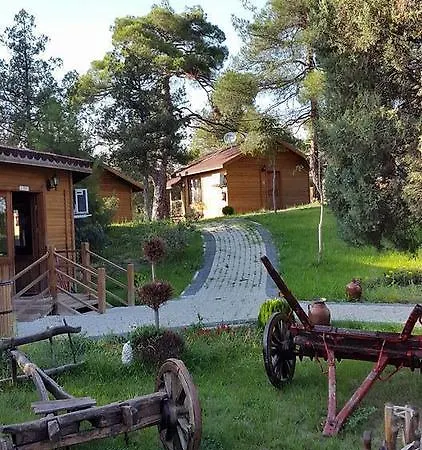 Eko Turizm Tesisleri *