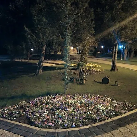 אתר קמפינג Eko Turizm Tesisleri