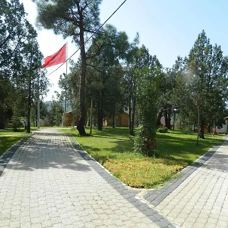 Eko Turizm Tesisleri אתר קמפינג Harmancik